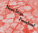 Next Stop, Freedom!