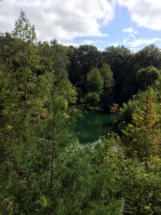 Cedar Lakes Woods & Gardens