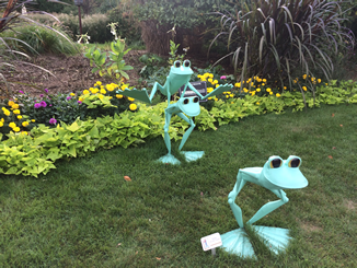 Ribbit Exhibit Leap Frogs