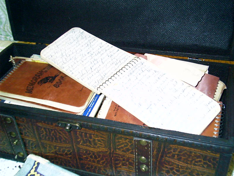 Emma's Diaries